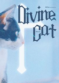 Divine Cat