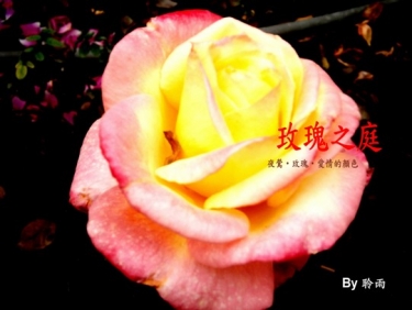 玫瑰之庭-夜鶯‧玫瑰‧愛情的顏色 封面圖