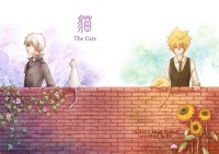 【家教初空雲同人小說本】貓