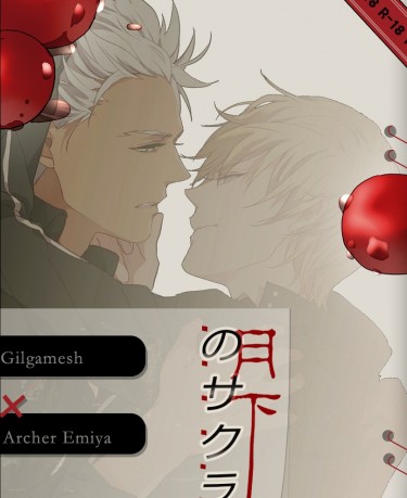 Fate《月下樱桃》簡體金弓漫本 封面圖