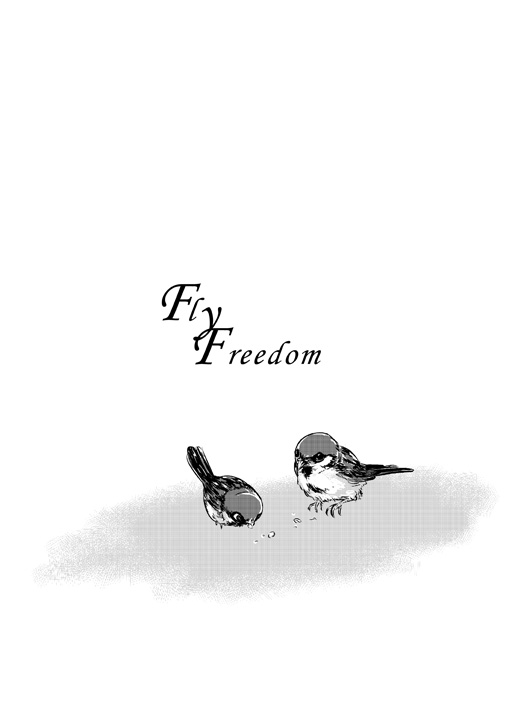 FlyFreedom 試閱圖