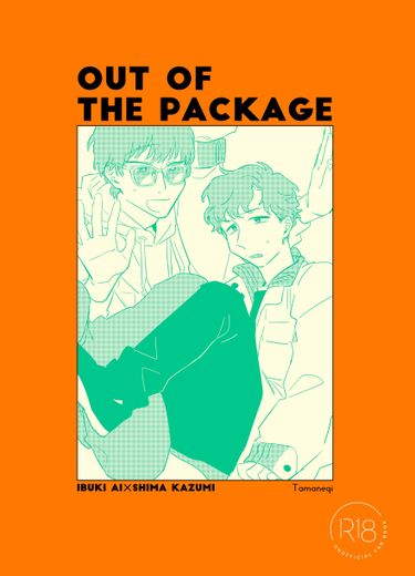 OUT OF THE PACKAGE