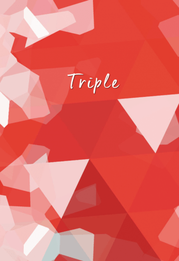 CWT55 文豪野犬小說本《Triple》【CWT56場販有】 封面圖