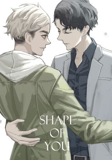 排球ONLY 全員快攻  佐久侑《Shape of you》 封面圖