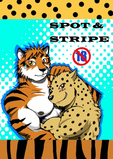 SPOTxSTRIPE 封面圖