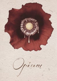 《Opium》
