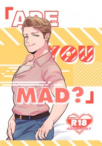 「ARE YOU MAD ?」