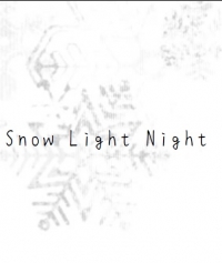 Snow Light Night