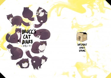 布魯斯的貓日記 封面圖