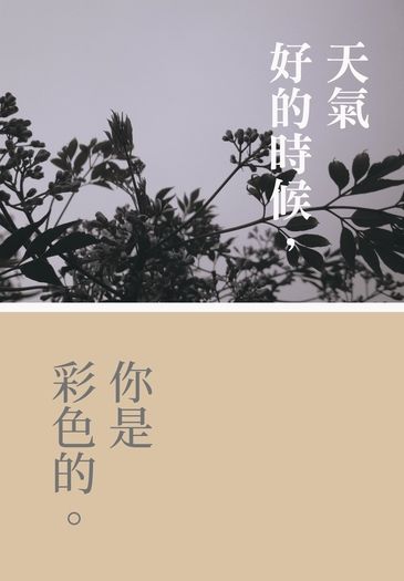 天氣好的時候，你是彩色的