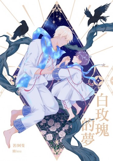 白玫瑰的夢
