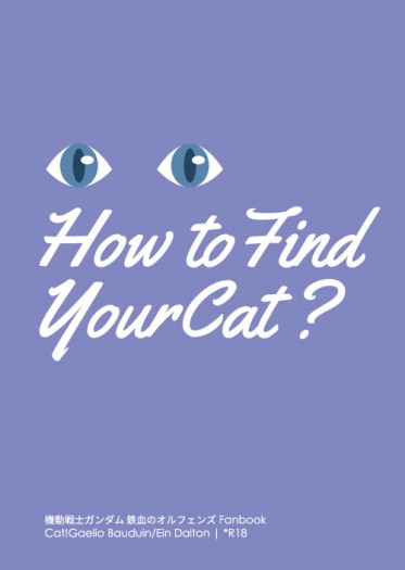 How to Find Your Cat? 封面圖