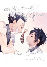 the Sentinel & the  Guide & the Owls