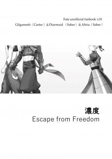 【FGO】濃度（Escape from Freedom）四次金劍槍IN迦勒底日常 印調 封面圖