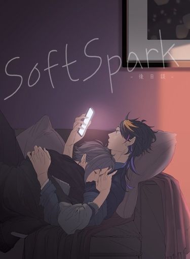 SoftSpark-後日談
