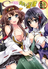黄色い艦隊