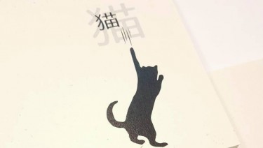 猫 封面圖