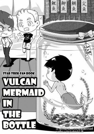 Vulcan Mermaid in the Bottle 封面圖