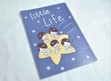 Little Life