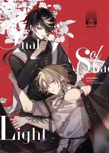 《Confessional of Shadow &amp; Light》