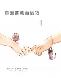 HQ!!黑月小說本《你因蓄意而恰巧》