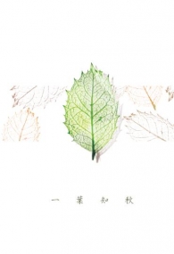 火影卡佐本《一葉知秋》