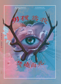 男孩為我焚燒而死