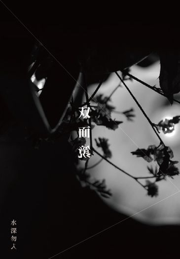 雙面鏡