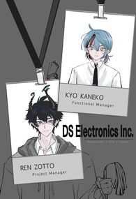 DS Electronics Inc.