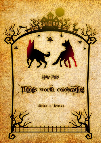 Things  worth  celebrating&lt;Harry Potter-犬狼&gt;