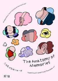 The Anatomy of Memories