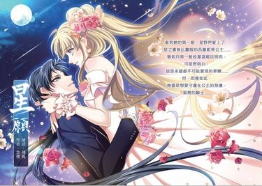 美少女戰士 同人小說本 星願(CP：星野光x月野兔) 封面圖