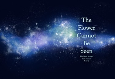 The Flower Cannot Be Seen 封面圖