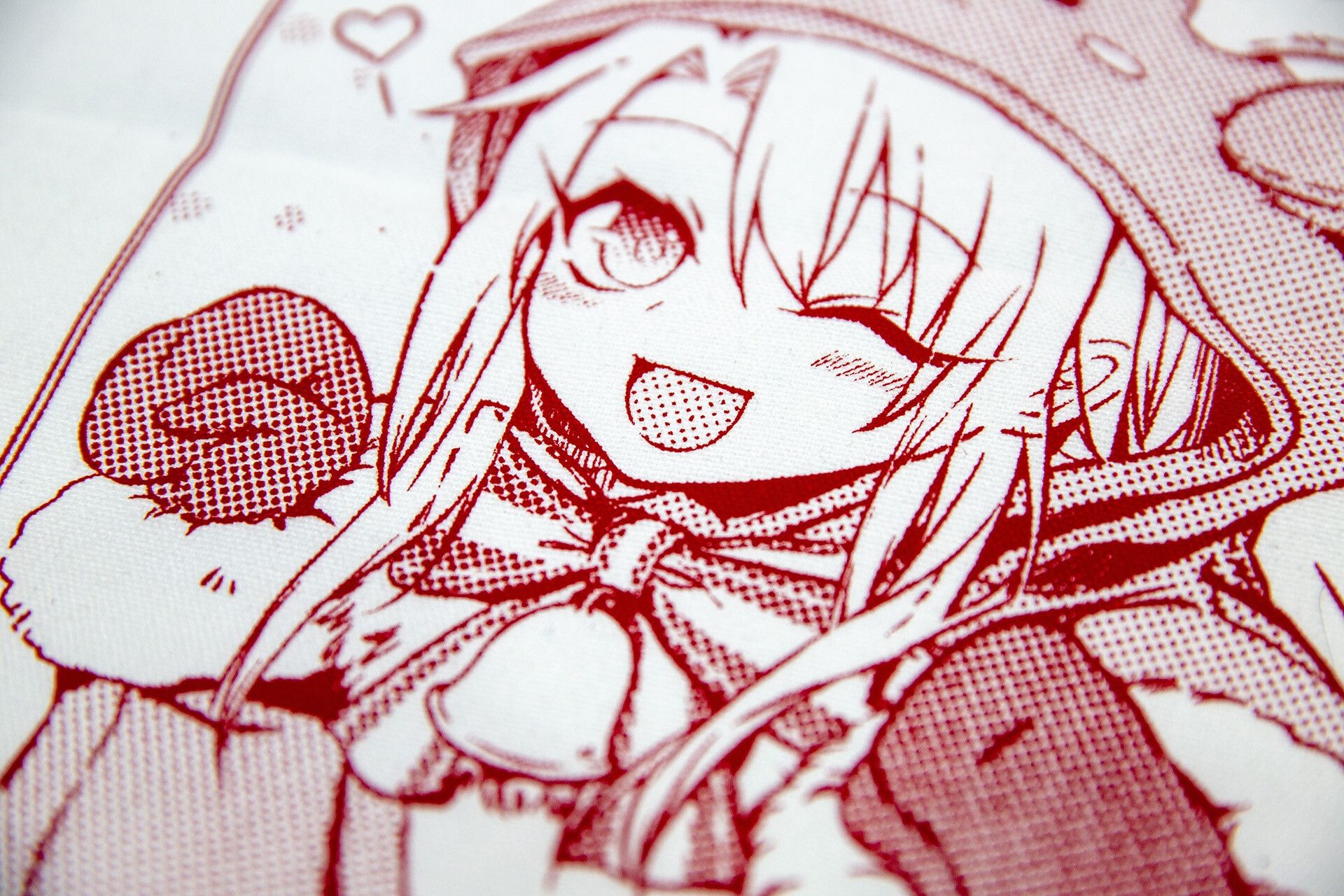 Fate/kaleid liner 魔法少女 伊莉雅 冬天的回憶合同本套組 試閱圖