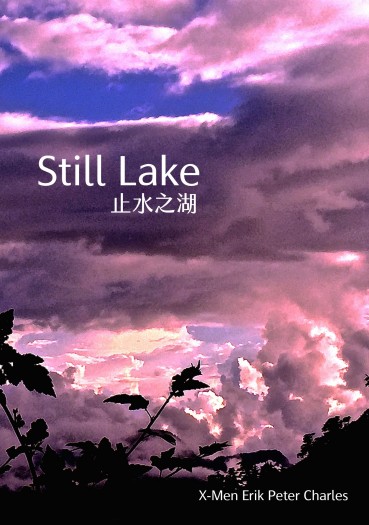 Still Lake 止水之湖（完整版） 封面圖