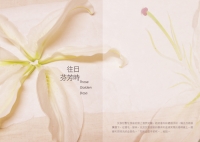 往日芬芳時