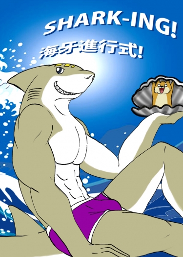 Shark-ing 海牙進行式 封面圖