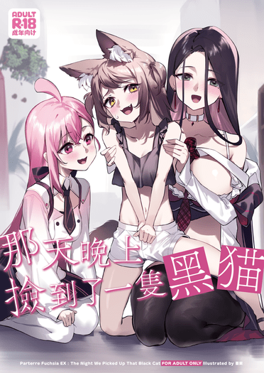 那天晚上撿到一隻黑貓