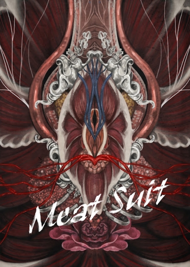 Meat Suit皮囊 封面圖