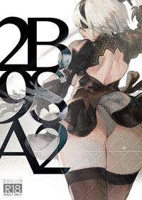 2B9SA2