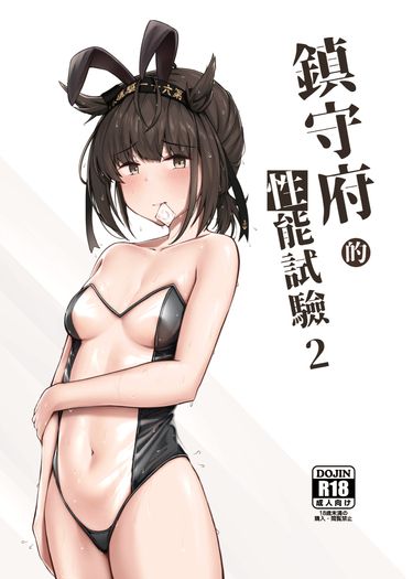 鎮守府的性能試驗 2 封面圖