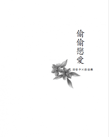 【全職高手│雙花】偷偷戀愛 封面圖