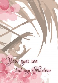 Your Eyes See But My Shadow