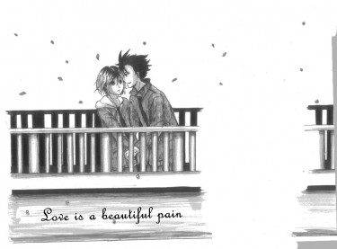 Love is a Beautiful Pain 封面圖