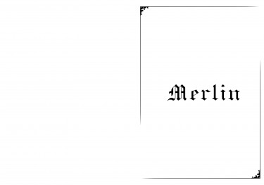 Merlin 封面圖