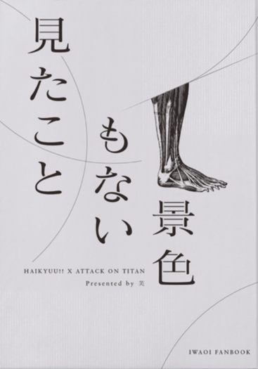 【排球少年/岩及】見たこともない景色 封面圖
