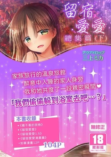 留宿愛愛 總集篇(下)