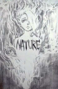 NATURE(12/4更新)