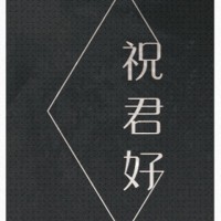 全職高手同人小說本--《祝君好》+《小團員》(周葉)