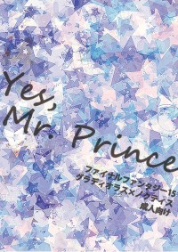 Yes, Mr. Prince